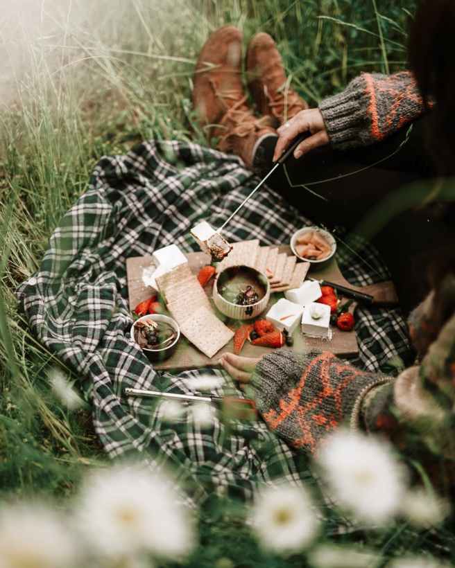person in black and white plaid long sleeve shirt having a picnic